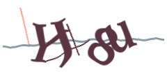 Identifying code