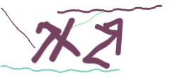 Identifying code
