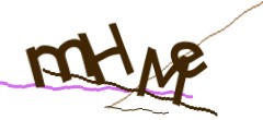 Identifying code