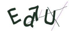 Identifying code