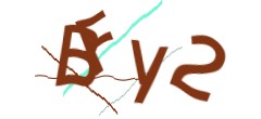 Identifying code