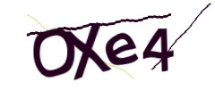 Identifying code