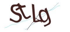 Identifying code