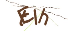 Identifying code
