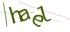 Identifying code