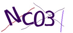 Identifying code