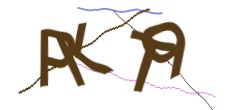 Identifying code