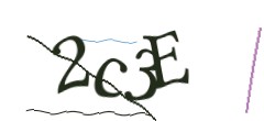 Identifying code