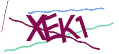 Identifying code