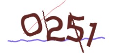 Identifying code