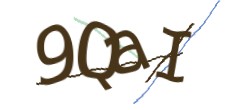 Identifying code