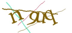 Identifying code
