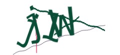 Identifying code