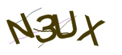 Identifying code
