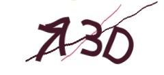 Identifying code