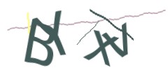 Identifying code