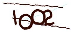 Identifying code