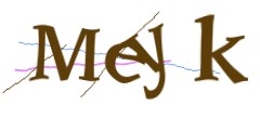 Identifying code