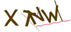 Identifying code