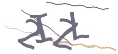 Identifying code