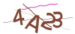 Identifying code