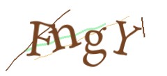 Identifying code