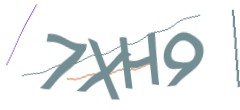 Identifying code