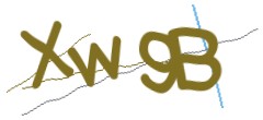 Identifying code