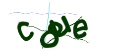 Identifying code