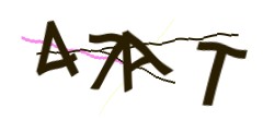 Identifying code