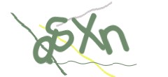 Identifying code