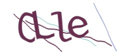 Identifying code
