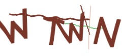 Identifying code