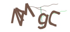 Identifying code
