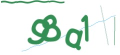 Identifying code
