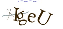 Identifying code