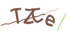 Identifying code