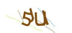 Identifying code