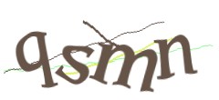 Identifying code