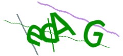 Identifying code