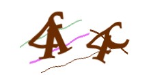 Identifying code