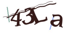 Identifying code