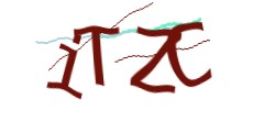 Identifying code