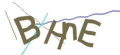 Identifying code