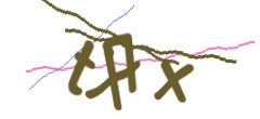 Identifying code