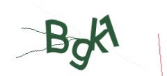 Identifying code