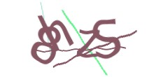 Identifying code
