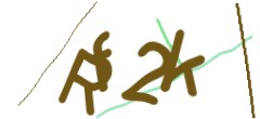 Identifying code