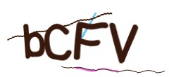 Identifying code