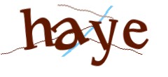 Identifying code